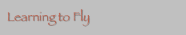 Learning to Fly