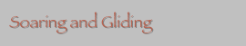 Soaring and Gliding